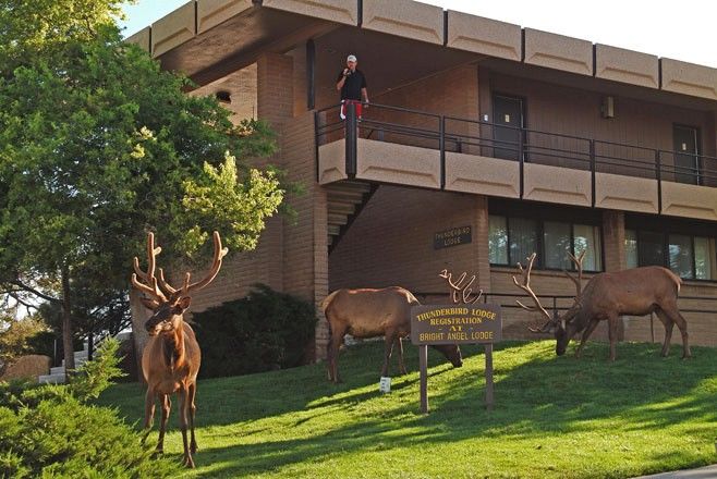 Kachina Lodge Grand Canyon ภายนอก รูปภาพ